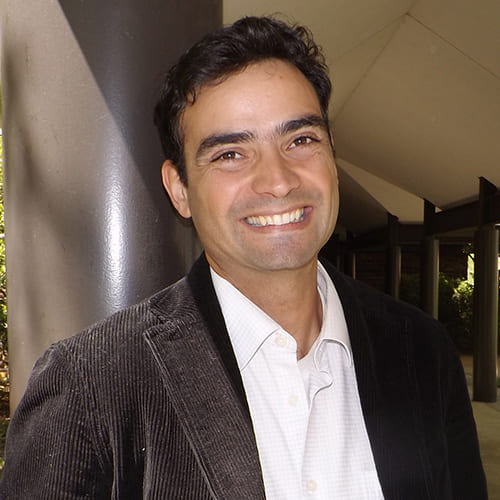 MIGUEL PAIS-VIEIRA